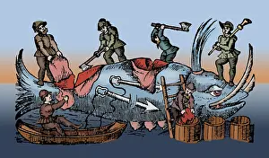 Whaling: Whaling, 16th Century