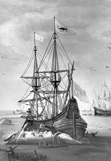 Whaling: Whaling