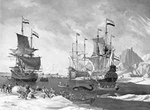 Whaling: Whaling in the Arctic Ocean