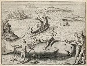 Scotia: WHALING IN CANADA