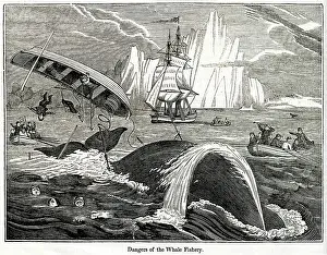 Harpoons: Whaling - Crew in Danger
