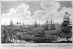 Harpooning: WHALING IN GREENLAND