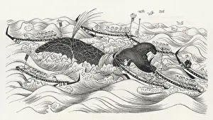 Whaling: WHALING IN JAPAN
