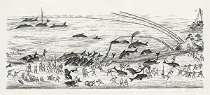 Whaling: WHALING IN JAPAN