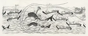 Whaling: WHALING IN JAPAN