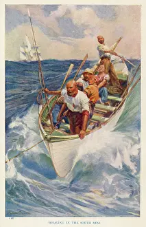 Whaling: WHALING IN THE PACIFIC