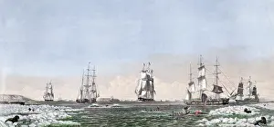 Behring: Whaling. Right whaling in Behring Straits ?