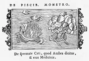 Whaling: WHALING SCENE 1555