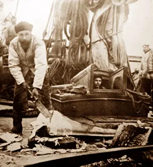 Whaler: Whaling ship in the Arctic - crew removing the whalebone