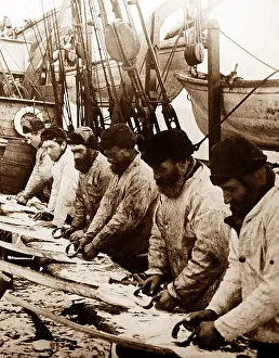Scraping: Whaling ship in the Arctic - crew scraping the whalebone