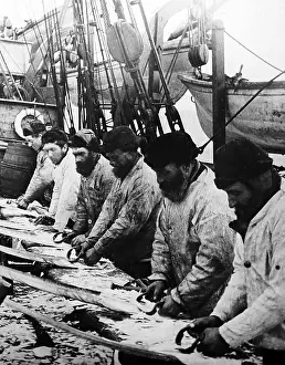 Scraping: Whaling ship, scraping the whalebone