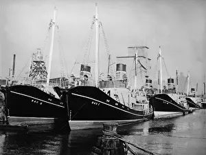 Whaling: Whaling ships in the harbor, 1938