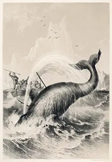 Melville: WHALING/SIR JOHN ROSS