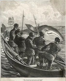Harpoons: WHALING FROM SMALL BOAT