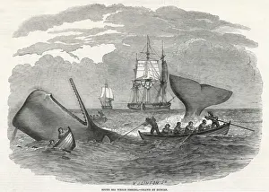 Sperm: WHALING/SOUTH SEAS 1847
