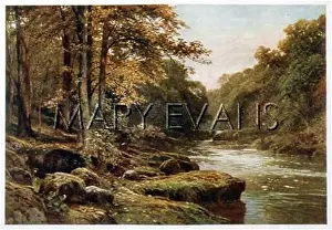 Wharfe: WHARFE RIVER, YORKSHIRE