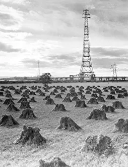 Kincardineshire: WHEAT FIELD/PYLONS