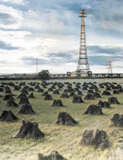Barnaby (colourised): WHEAT FIELD/PYLONS