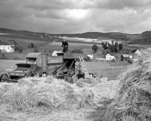 Thresher: Wheat harvest