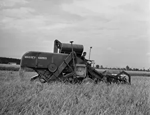 Vinatge: Wheat harvest