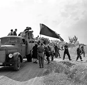 Triumphantly: Wheat harvest