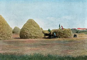 Stacking: WHEAT HARVEST CANADA