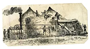 Labourer: Wheat Harvest Steam Traction Engine Threshing Machine