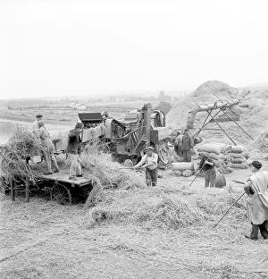 Thresher: Wheat - harvest - thresher