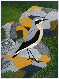 Linocut: Wheatear or Northern Wheatear