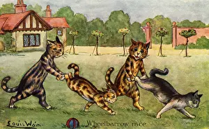 Wheelbarrow Race