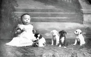 Wheres: Wheres Our Dinner 1894