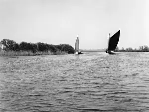 Yare: WHERRIES ON THE YARE