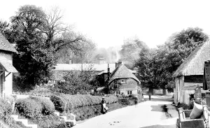 Wherwell: Wherwell, Village 1901