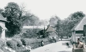 Wherwell: Wherwell, Village 1901