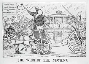 Whim: The whim of the moment