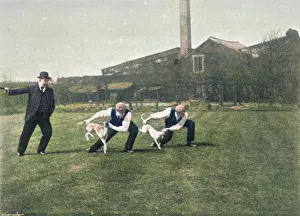 Whippets: WHIPPET RACE START