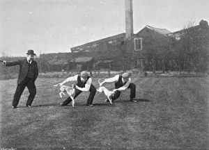 Whippets: WHIPPET RACE START