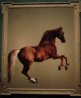 1762: Whistlejacket, by George Stubbs