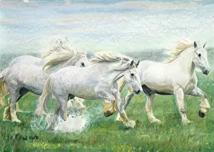 Whitbread: The Whitbread Shire Horses