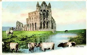 Whitby Abbey, Whitby, North Yorkshire