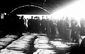 Fishmarket: Whitby Fish Market