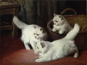 Heyer: Three White Angora Kittens