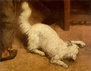 Courbet: White Angora playing with an Insect, by Courbet