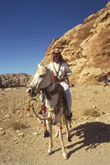 Jordanian: White arab horse