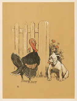 Eccentric: White bulldog and turkey