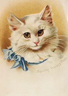 Travers: White Cat, Blue Bow