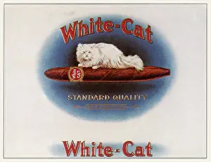 Picturpic: White-Cat Cigars