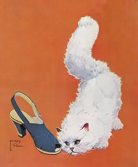 Felines: White Cat eyes Shoe