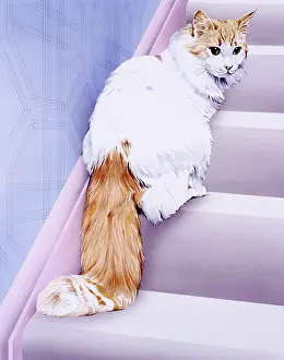 Moggy: White cat with ginger tail/face on stairs