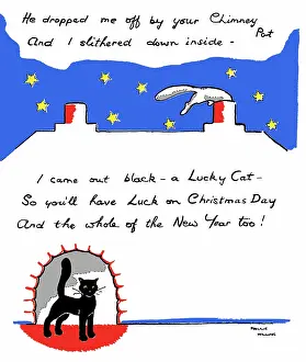 Willing: White cat going down chimney, and black cat